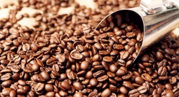 Tecnologia aumenta a produtividade e a rentabilidade do café no Brasil